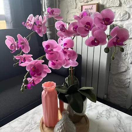 Apartment Modern'habitat